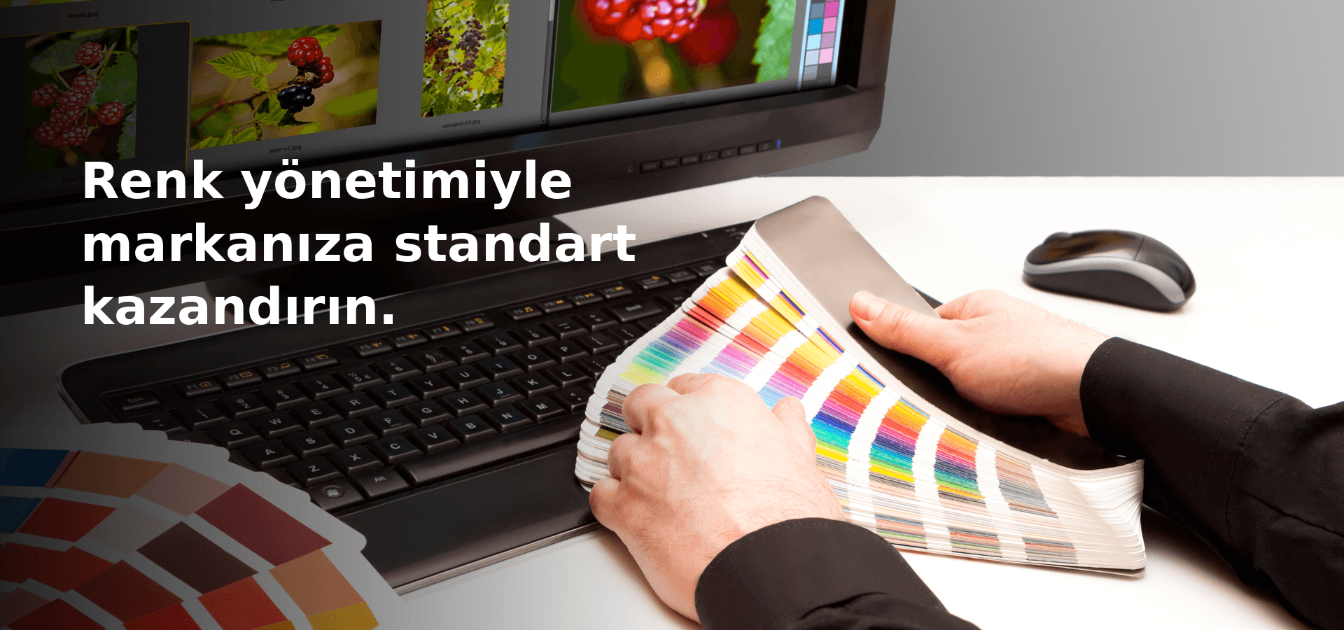 Renk yönetimiyle markanıza standart kazandırın